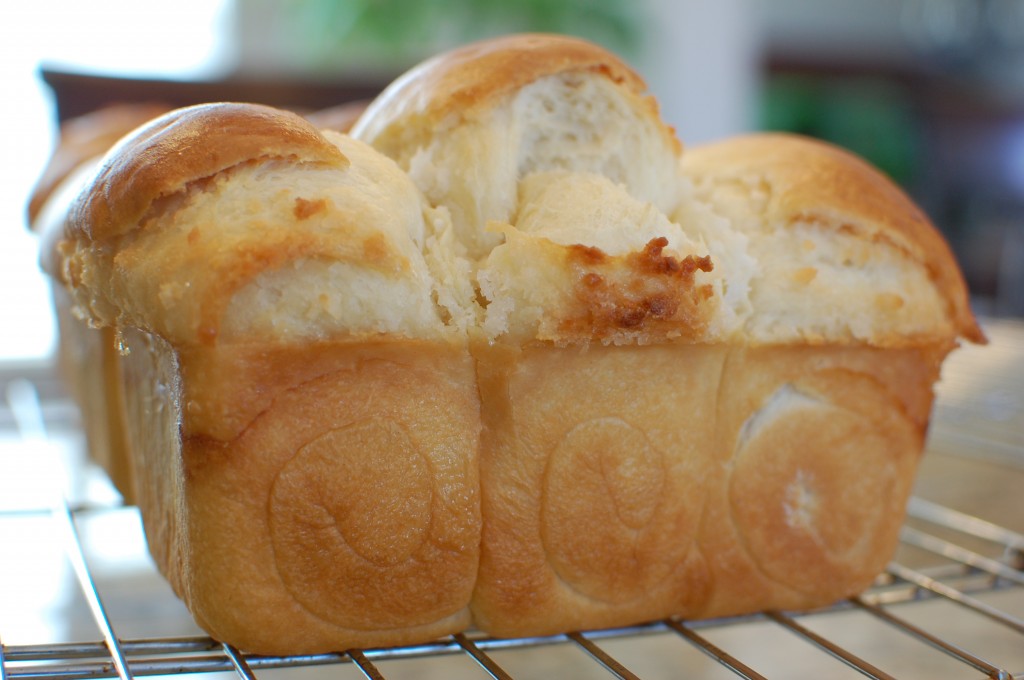 Chinese Coconut Milk Bread (Chinese Coconut Milk Buns) | The 350 